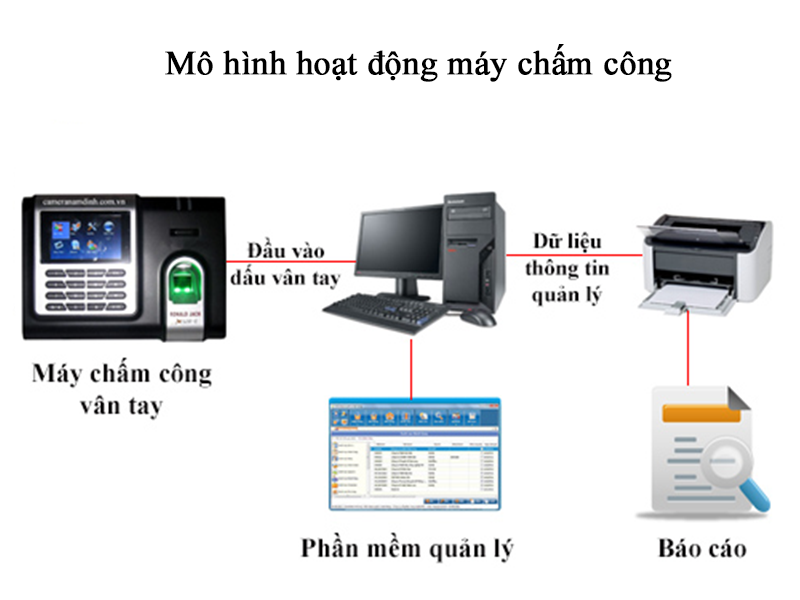 Báo giá máy chấm công bằng vân tay loại tốt, được ưa chuộng 2 Báo giá máy chấm công bằng vân tay loại tốt, được ưa chuộng 2