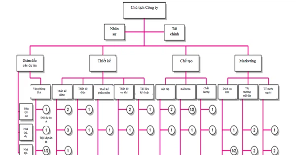 Các loại hình xây dựng cơ cấu tổ chức 3 cơ cấu tổ chức